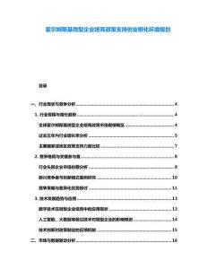 霍爾姆斯基微型企業培育政策支持創業孵化環境規劃