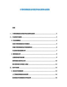 計算機網絡安全風險評估處理專業報告