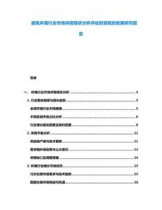 避免环境行业市场供需现状分析评估投资规划发展研究报告