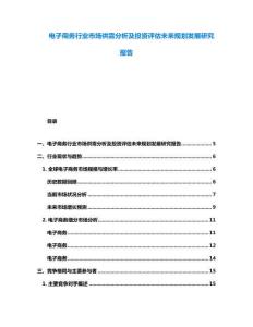 电子商务行业市场供需分析及投资评估未来规划发展研究报告