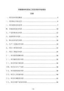 鈣基新材料深加工項目風險評估報告
