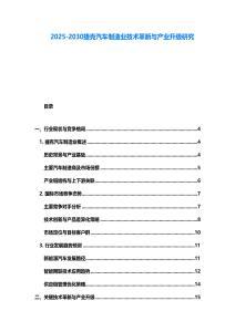 2025-2030捷克汽車(chē)制造業(yè)技術(shù)革新與產(chǎn)業(yè)升級(jí)研究