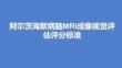 阿爾茨海默病腦MRI成像視覺評估評分標準