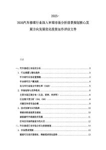 2025-2030汽車修理行業深入審理市場分析前景規劃核心發展方向發展優化投資運作評估文件