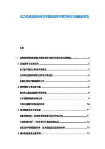 動力電池回收利用技術路線選擇與梯次利用場景拓展報告