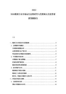 2025-2030煤炭行業市場運行態勢研究與發展重點及投資前景預測報告