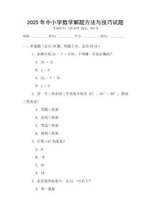2025年中小學數學解題方法與技巧試題