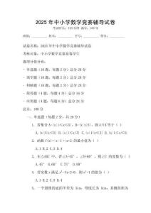 2025年中小學數學競賽輔導試卷
