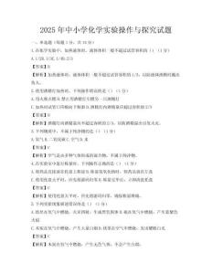 2025年中小學化學實驗操作與探究試題