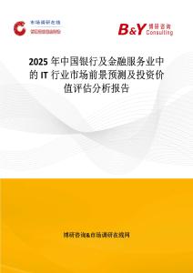 2025年中國銀行及金融服務業中的IT行業市場前景預測及投資價值評估分析報告