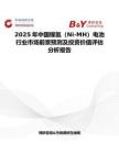 2025年中国镍氢（Ni-MH）电池行业市场前景预测及投资价值评估分析报告