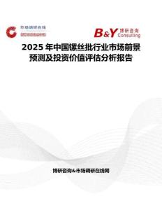 2025年中國(guó)鏍絲批行業(yè)市場(chǎng)前景預(yù)測(cè)及投資價(jià)值評(píng)估分析報(bào)告