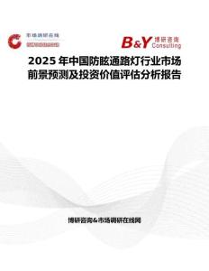 2025年中國防眩通路燈行業市場前景預測及投資價值評估分析報告