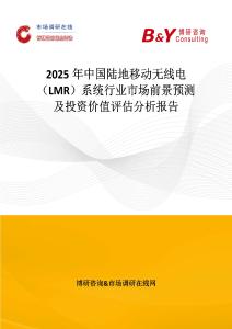 2025年中国陆地移动无线电（LMR）系统行业市场前景预测及投资价值评估分析报告
