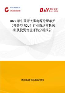 2025年中国开关型电源分配单元（开关型PDU）行业市场前景预测及投资价值评估分析报告