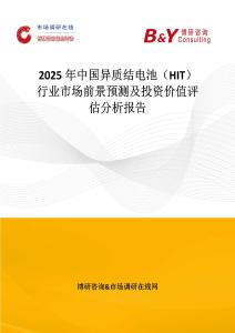 2025年中国异质结电池（HIT）行业市场前景预测及投资价值评估分析报告