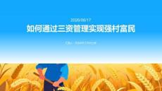 如何通過三資管理實現強村富民