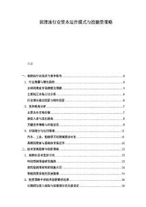 润滑油行业资本运作模式与投融资策略