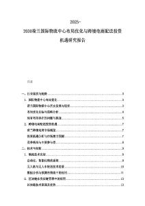2025-2030荷兰国际物流中心布局优化与跨境电商配送投资机遇研究报告