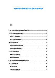 电子特种气体纯化技术壁垒与国产化替代报告