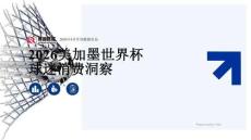 2026美加墨世界杯球迷消费洞察