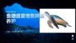 魚塘盛夏增氧降溫養護課件 PPT