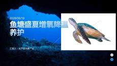 鱼塘盛夏增氧降温养护课件 PPT