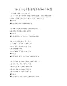 2025年办公软件高效数据统计试题