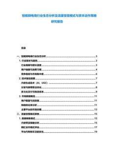 短视频电商行业生态分析及流量变现模式与资本运作策略研究报告