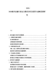 2025-2030航空运输行业运力需求分析及投资与战略发展研究