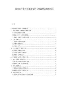 润滑油行业并购重组案例与资源整合策略报告
