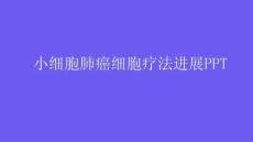小细胞肺癌细胞疗法进展PPT