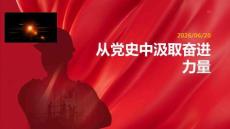 从党史中汲取奋进力量