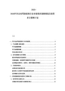 2025-2030汽車自動駕駛系統行業市場現狀道路規劃及投資多方保障計劃