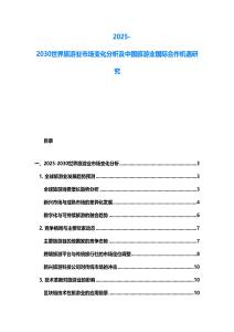 2025-2030世界旅游业市场变化分析及中国旅游业国际合作机遇研究
