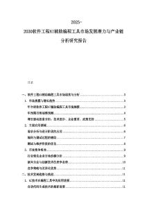 2025-2030軟件工程AI輔助編程工具市場發展潛力與產業鏈分析研究報告