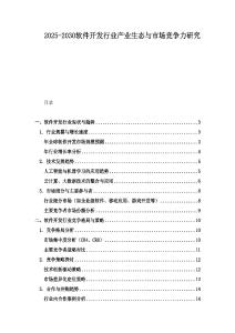 2025-2030軟件開發行業產業生態與市場競爭力研究