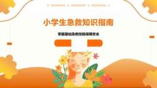 小學(xué)生急救知識指南