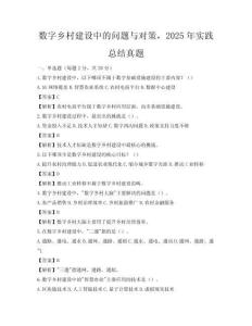 数字乡村建设中的问题与对策，2025年实践总结真题