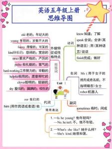 五年级（上）英语  思维导图