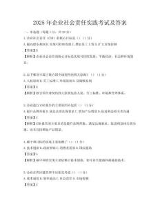 2025年企业社会责任实践考试及答案