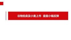 玉米和淀粉周报：谷物拍卖及小麦集中上市，玉米盘面小幅反弹