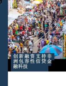 非洲包容性信贷金融科技创新融资-世界银行