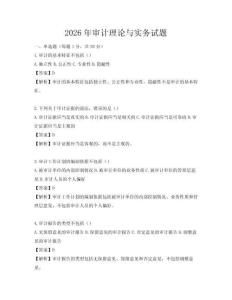 2026年审计理论与实务试题