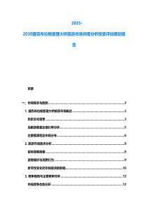 2025-2030捷克布拉格查理大橋旅游市場供需分析投資評估規劃報告