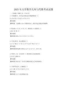 2025年大学数学几何与代数考试试题