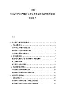 2025-2030汽车安全气囊行业市场供需及感光涂层投资策划规划研究
