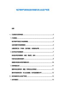 电子特种气体纯化技术突破与本土化生产布局