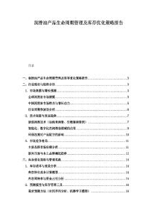 润滑油产品生命周期管理及库存优化策略报告