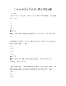 2026年中考備考沖刺：模擬試題解析